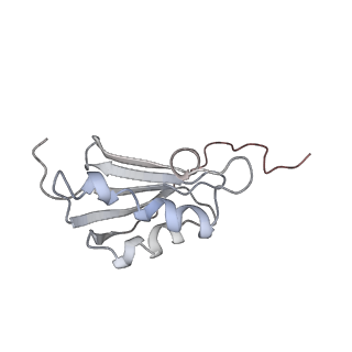 0105_6gzz_K3_v1-0
T. thermophilus hibernating 100S ribosome (amc)