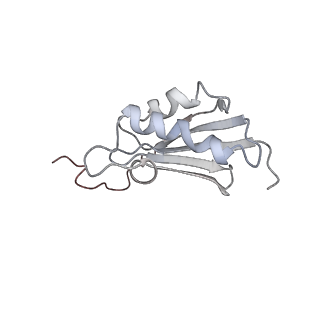 0105_6gzz_K4_v1-0
T. thermophilus hibernating 100S ribosome (amc)