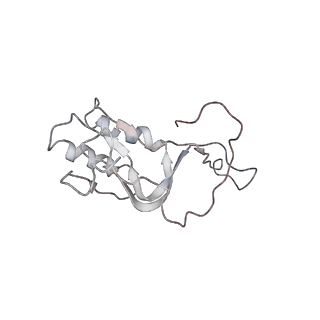 0105_6gzz_L2_v1-0
T. thermophilus hibernating 100S ribosome (amc)