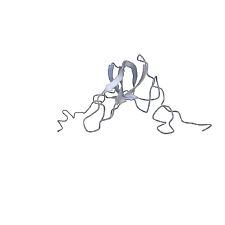 0105_6gzz_L3_v1-0
T. thermophilus hibernating 100S ribosome (amc)