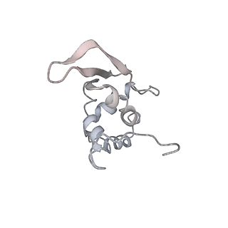 0105_6gzz_M1_v1-0
T. thermophilus hibernating 100S ribosome (amc)