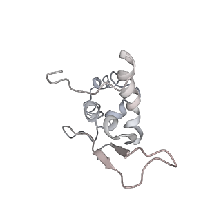0105_6gzz_M2_v1-0
T. thermophilus hibernating 100S ribosome (amc)