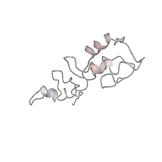 0105_6gzz_M4_v1-0
T. thermophilus hibernating 100S ribosome (amc)
