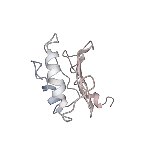 0105_6gzz_N1_v1-0
T. thermophilus hibernating 100S ribosome (amc)