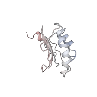 0105_6gzz_N2_v1-0
T. thermophilus hibernating 100S ribosome (amc)