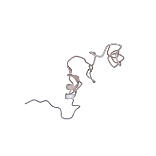 0105_6gzz_N3_v1-0
T. thermophilus hibernating 100S ribosome (amc)