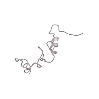 0105_6gzz_N4_v1-0
T. thermophilus hibernating 100S ribosome (amc)