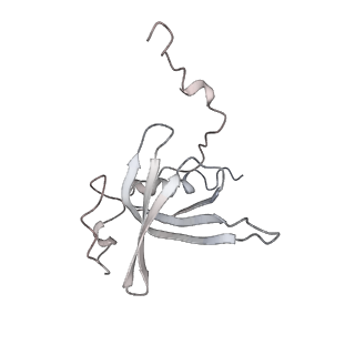 0105_6gzz_O1_v1-0
T. thermophilus hibernating 100S ribosome (amc)