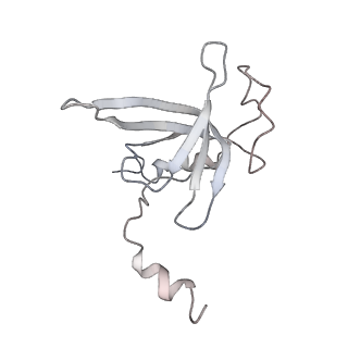 0105_6gzz_O2_v1-0
T. thermophilus hibernating 100S ribosome (amc)