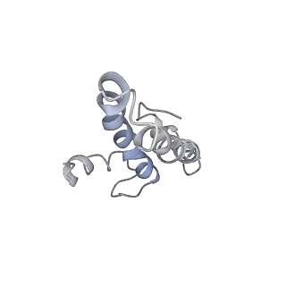 0105_6gzz_O3_v1-0
T. thermophilus hibernating 100S ribosome (amc)