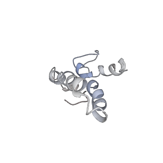 0105_6gzz_O4_v1-0
T. thermophilus hibernating 100S ribosome (amc)