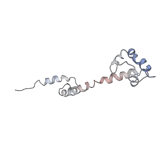 0105_6gzz_P1_v1-0
T. thermophilus hibernating 100S ribosome (amc)