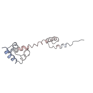 0105_6gzz_P2_v1-0
T. thermophilus hibernating 100S ribosome (amc)