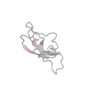 0105_6gzz_P3_v1-0
T. thermophilus hibernating 100S ribosome (amc)