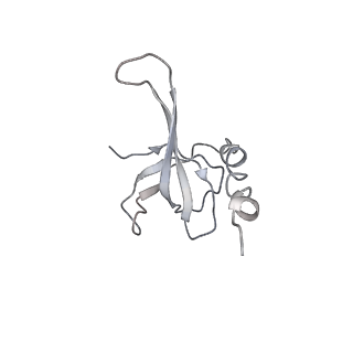 0105_6gzz_Q4_v1-0
T. thermophilus hibernating 100S ribosome (amc)