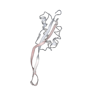 0105_6gzz_R1_v1-0
T. thermophilus hibernating 100S ribosome (amc)