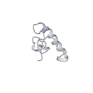 0105_6gzz_R3_v1-0
T. thermophilus hibernating 100S ribosome (amc)
