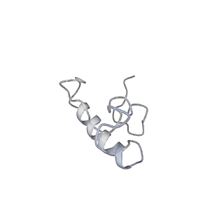 0105_6gzz_R4_v1-0
T. thermophilus hibernating 100S ribosome (amc)