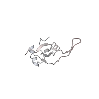 0105_6gzz_S1_v1-0
T. thermophilus hibernating 100S ribosome (amc)