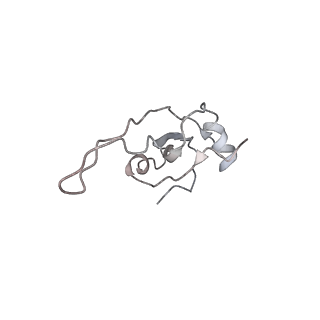 0105_6gzz_S2_v1-0
T. thermophilus hibernating 100S ribosome (amc)