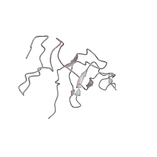 0105_6gzz_T1_v1-0
T. thermophilus hibernating 100S ribosome (amc)