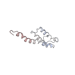 0105_6gzz_T4_v1-0
T. thermophilus hibernating 100S ribosome (amc)