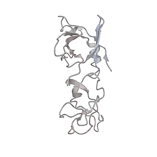 0105_6gzz_U1_v1-0
T. thermophilus hibernating 100S ribosome (amc)