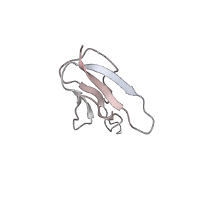 0105_6gzz_V1_v1-0
T. thermophilus hibernating 100S ribosome (amc)