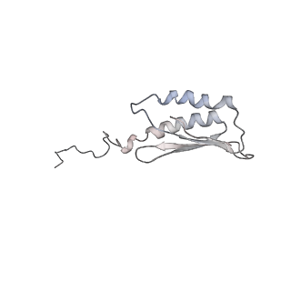 0105_6gzz_V3_v1-0
T. thermophilus hibernating 100S ribosome (amc)