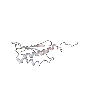 0105_6gzz_V4_v1-0
T. thermophilus hibernating 100S ribosome (amc)