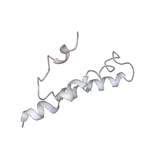 0105_6gzz_X1_v1-0
T. thermophilus hibernating 100S ribosome (amc)