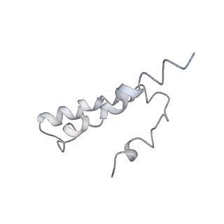 0105_6gzz_X2_v1-0
T. thermophilus hibernating 100S ribosome (amc)