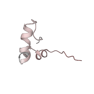 0105_6gzz_c1_v1-0
T. thermophilus hibernating 100S ribosome (amc)