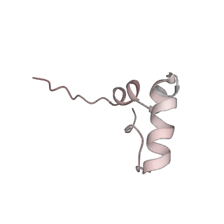 0105_6gzz_c2_v1-0
T. thermophilus hibernating 100S ribosome (amc)