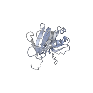 1571_3gzt_F_v1-1
VP7 recoated rotavirus DLP