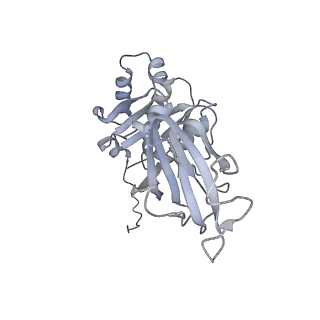 1571_3gzt_I_v1-1
VP7 recoated rotavirus DLP