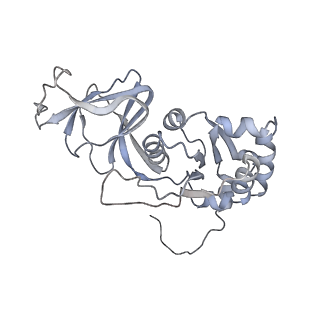 1571_3gzt_K_v1-1
VP7 recoated rotavirus DLP