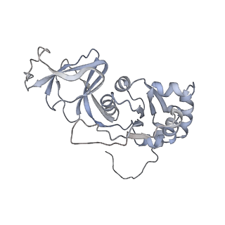 1571_3gzt_K_v2-0
VP7 recoated rotavirus DLP