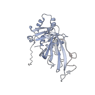 1571_3gzt_P_v1-1
VP7 recoated rotavirus DLP