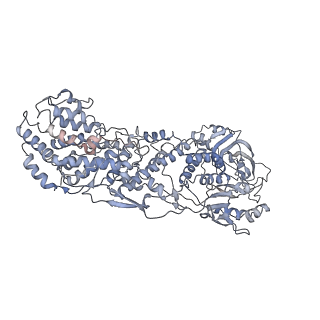 1571_3gzu_B_v1-4
VP7 recoated rotavirus DLP