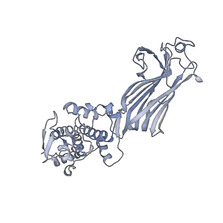 1571_3gzu_C_v1-3
VP7 recoated rotavirus DLP