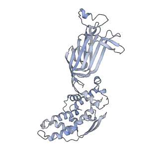 1571_3gzu_D_v1-4
VP7 recoated rotavirus DLP