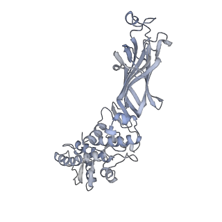 1571_3gzu_G_v1-4
VP7 recoated rotavirus DLP