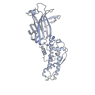 1571_3gzu_H_v1-3
VP7 recoated rotavirus DLP