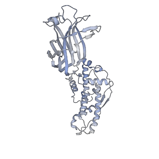 1571_3gzu_H_v1-4
VP7 recoated rotavirus DLP