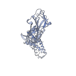 1571_3gzu_I_v1-3
VP7 recoated rotavirus DLP