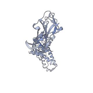 1571_3gzu_I_v1-4
VP7 recoated rotavirus DLP