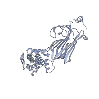 1571_3gzu_J_v1-4
VP7 recoated rotavirus DLP