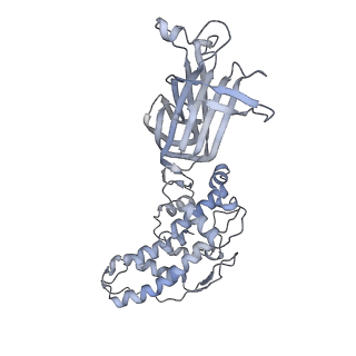 1571_3gzu_K_v1-4
VP7 recoated rotavirus DLP