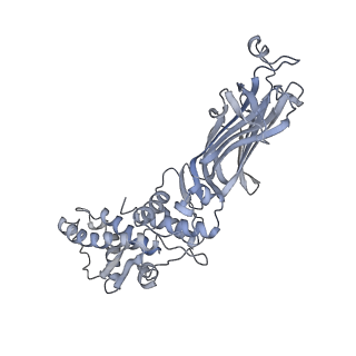 1571_3gzu_M_v1-3
VP7 recoated rotavirus DLP